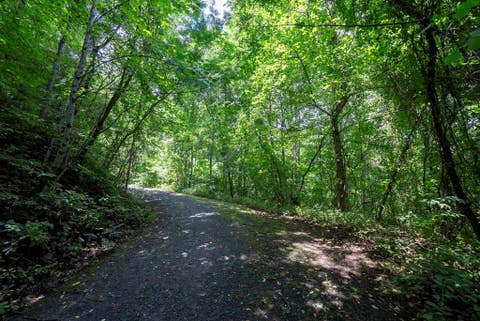 Vacant Land For Sale - E Buffalo<br/> Graham County, Robbinsville, NC 28771