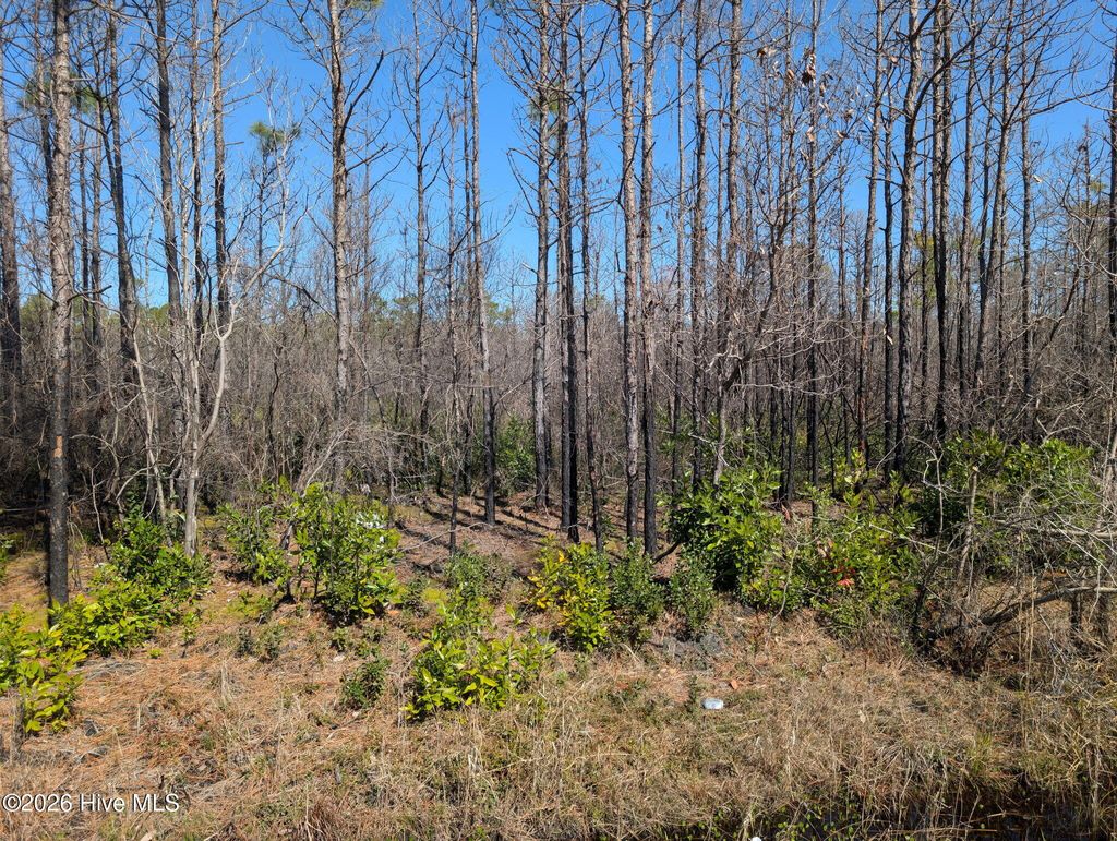 Photo of 844 W Boiling Spring Road, Boiling Spring Lakes, NC 28461 (MLS # 100561382)