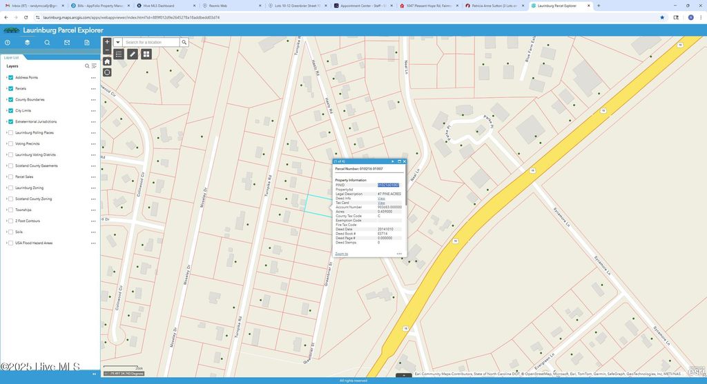 Photo of 79 Greenbrier Street, Laurinburg, NC 28352 (MLS # 100535293)