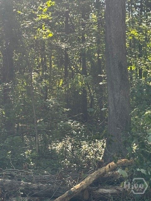 Vacant Land For Sale - Rita Ridge #LOT 7<br/> Jefferson, GA 30549