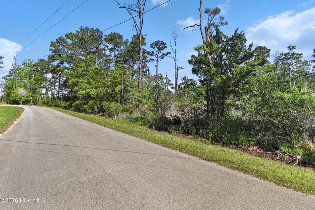 Photo of 194 Croaker Street, Davis, NC 28524 (MLS # 100569045)