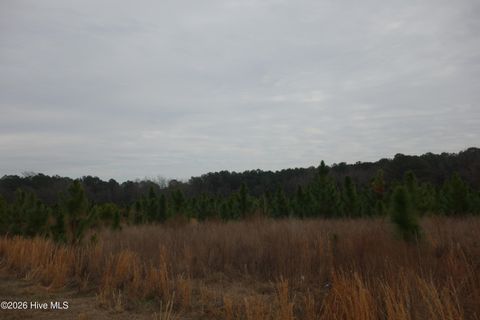 Vacant Land For Sale - LOT 37 Stuarts Mill Road<br/> Fairmont, NC 28340