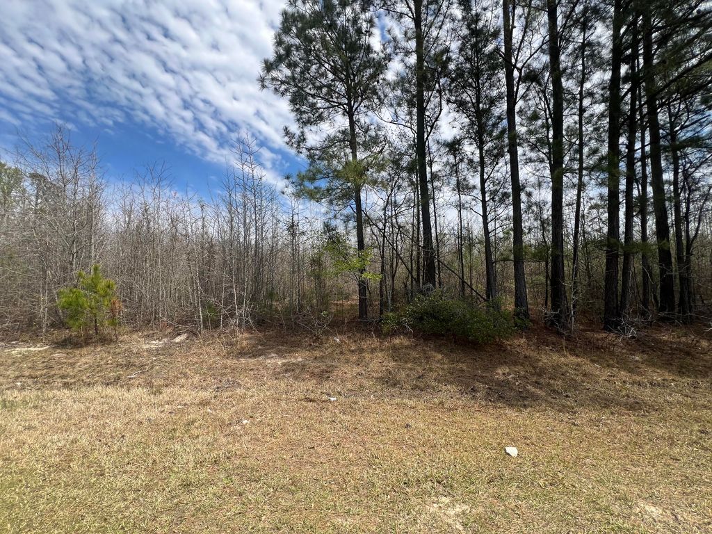 Photo of 0 Marshall Church Road, Thomson, GA 30824 (MLS # 553640)