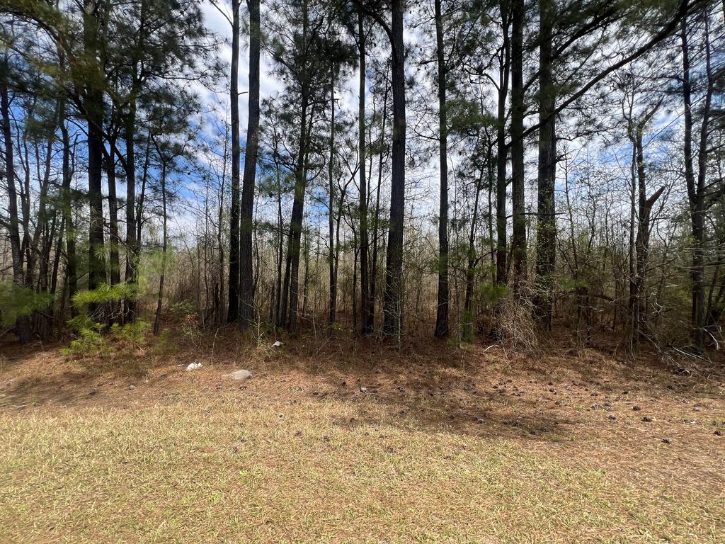 Photo of 0 Marshall Church Road, Thomson, GA 30824 (MLS # 553640)
