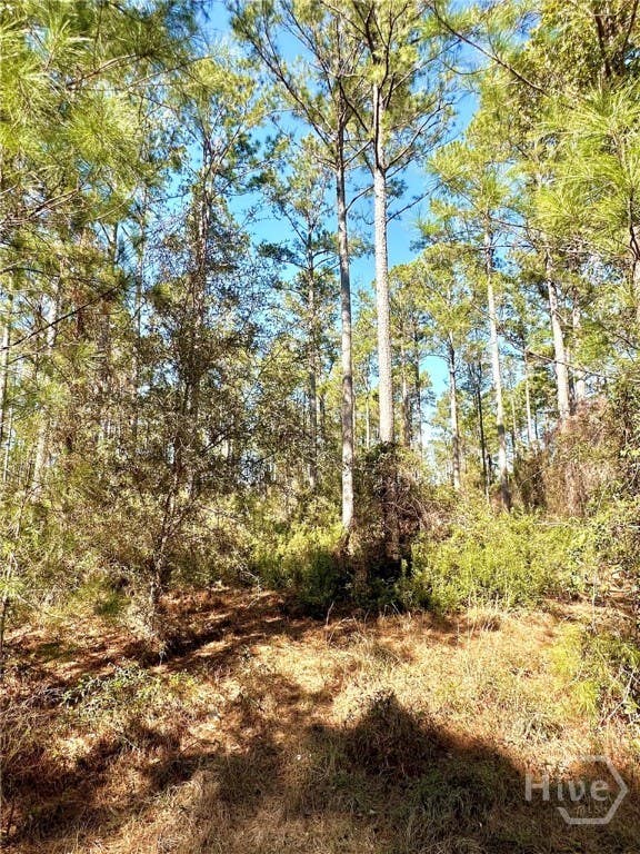 Photo of 0 Marsh Way, Townsend, GA 31331 (MLS # SA360860)
