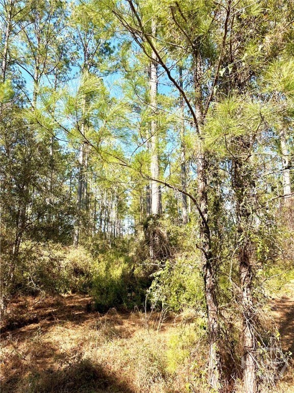Photo of 0 Marsh Way, Townsend, GA 31331 (MLS # SA360860)