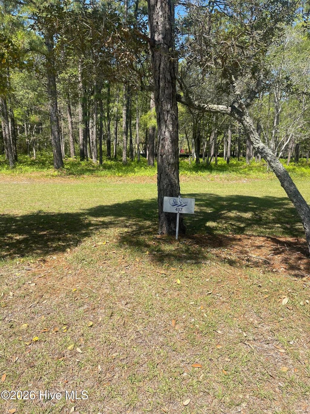 Photo of 3570 Concordia Avenue SW, Supply, NC 28462 (MLS # 100566909)