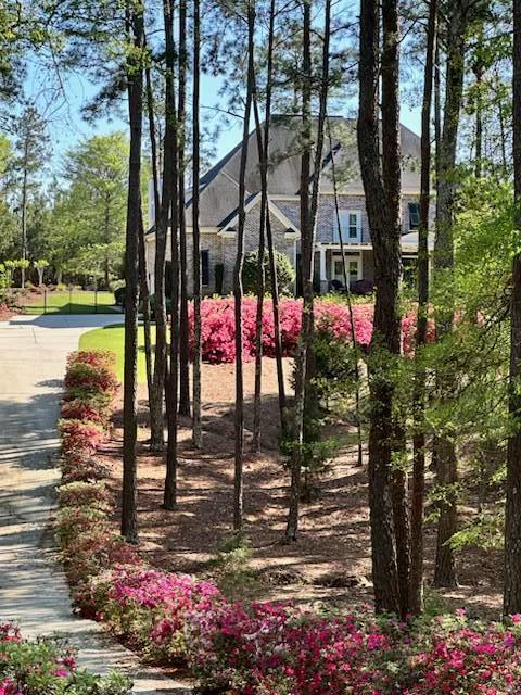 3005 Timber Woods Drive