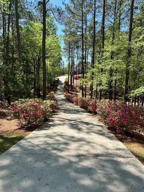 3005 Timber Woods Drive