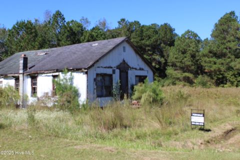 Tiny photo for 25625 Us Hwy 421, Willard, NC 28478 (MLS # 100536739)