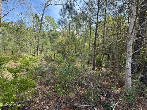 Tiny photo for 2981 Lyndhurst Terrace SW, Shallotte, NC 28470 (MLS # 100565810)