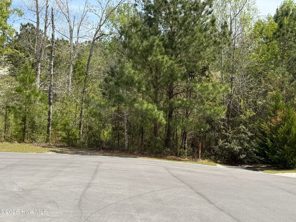 Photo of 2981 Lyndhurst Terrace SW, Shallotte, NC 28470 (MLS # 100565810)