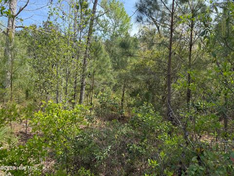 Tiny photo for 2981 Lyndhurst Terrace SW, Shallotte, NC 28470 (MLS # 100565810)
