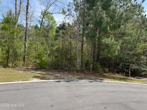 Photo of 2981 Lyndhurst Terrace SW, Shallotte, NC 28470 (MLS # 100565810)