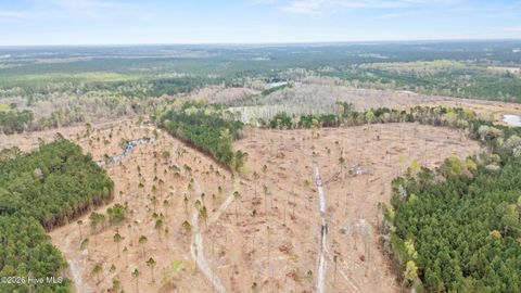 Tiny photo for Lot B Stanford Avenue, Burgaw, NC 28425 (MLS # 100566079)