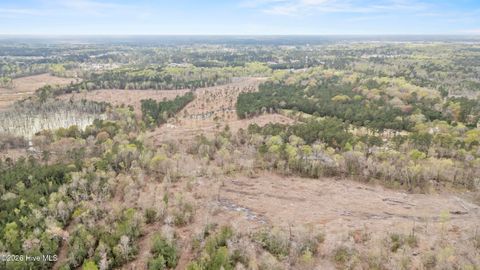 Tiny photo for Lot B Stanford Avenue, Burgaw, NC 28425 (MLS # 100566079)