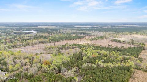 Tiny photo for Lot B Stanford Avenue, Burgaw, NC 28425 (MLS # 100566079)