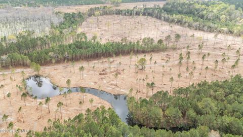 Tiny photo for Lot B Stanford Avenue, Burgaw, NC 28425 (MLS # 100566079)