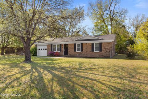 Photo of 110 Linville Drive, Castle Hayne, NC 28429 (MLS # 100565644)