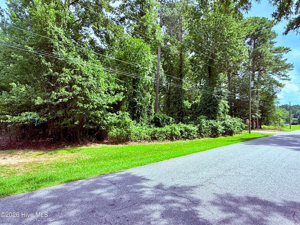 Photo of 6 Pine Street, La Grange, NC 28551 (MLS # 100613241)