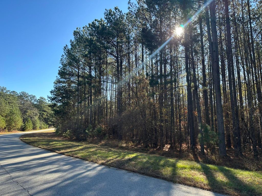 Photo of 1252 Rogers Road, Tignall, GA 30668 (MLS # 550067)