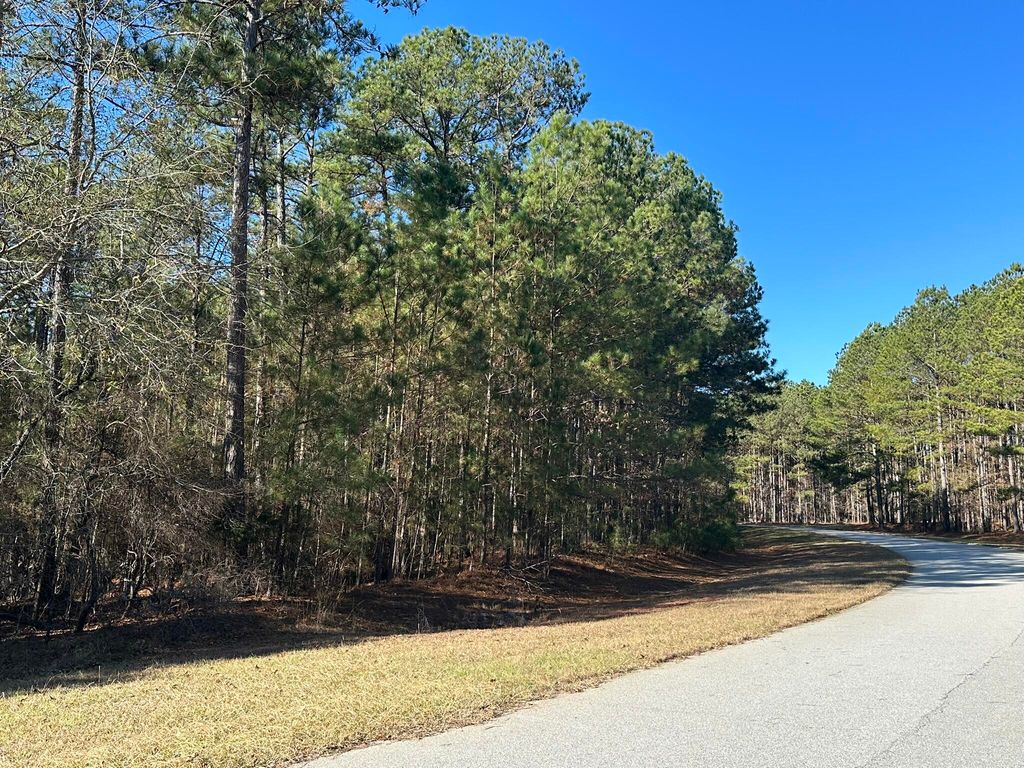 Photo of 1252 Rogers Road, Tignall, GA 30668 (MLS # 550067)