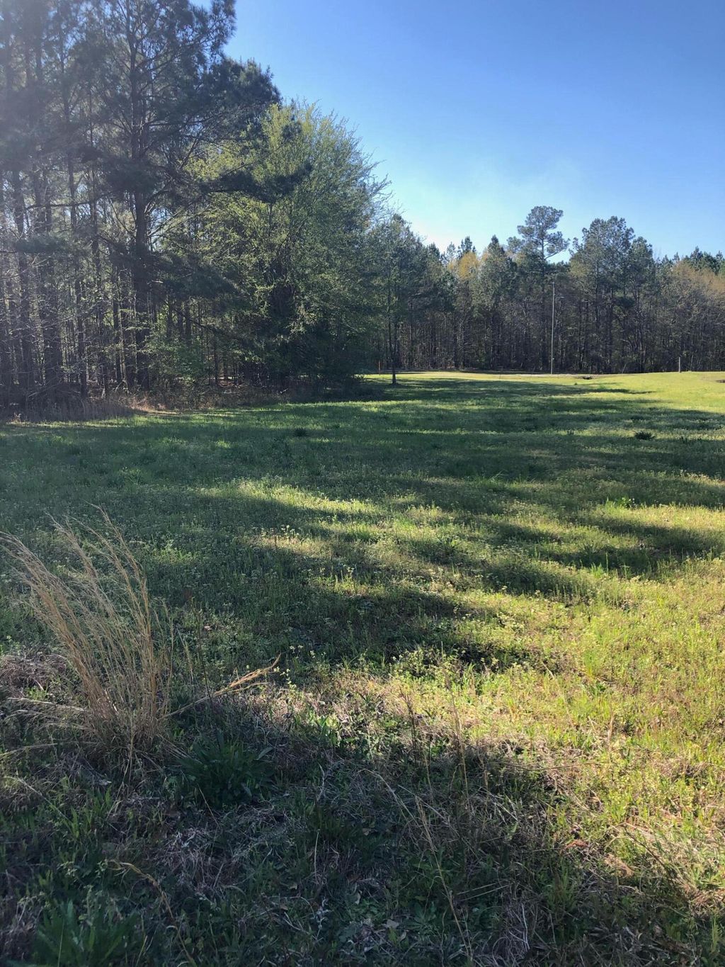 Photo of 417 Starr Hinson Road, Thomson, GA 30824 (MLS # 554098)