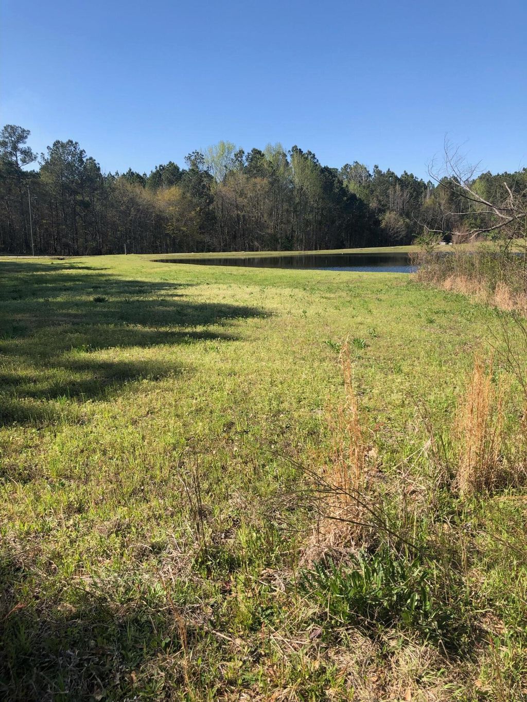 Photo of 417 Starr Hinson Road, Thomson, GA 30824 (MLS # 554098)