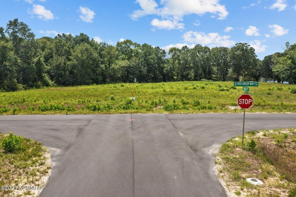 Photo of 406 Red Drum Way W, Swansboro, NC 28584 (MLS # 100398187)