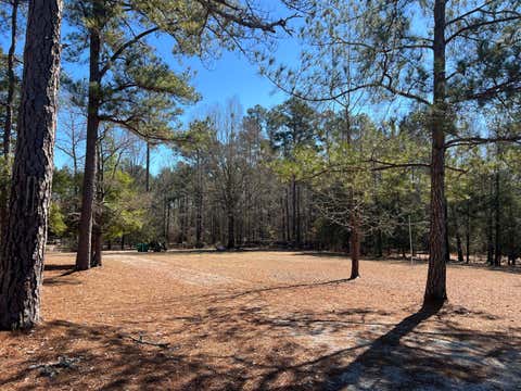 Vacant Land For Sale - 2369 Pine Ridge Drive<br/> Appling, GA 30802