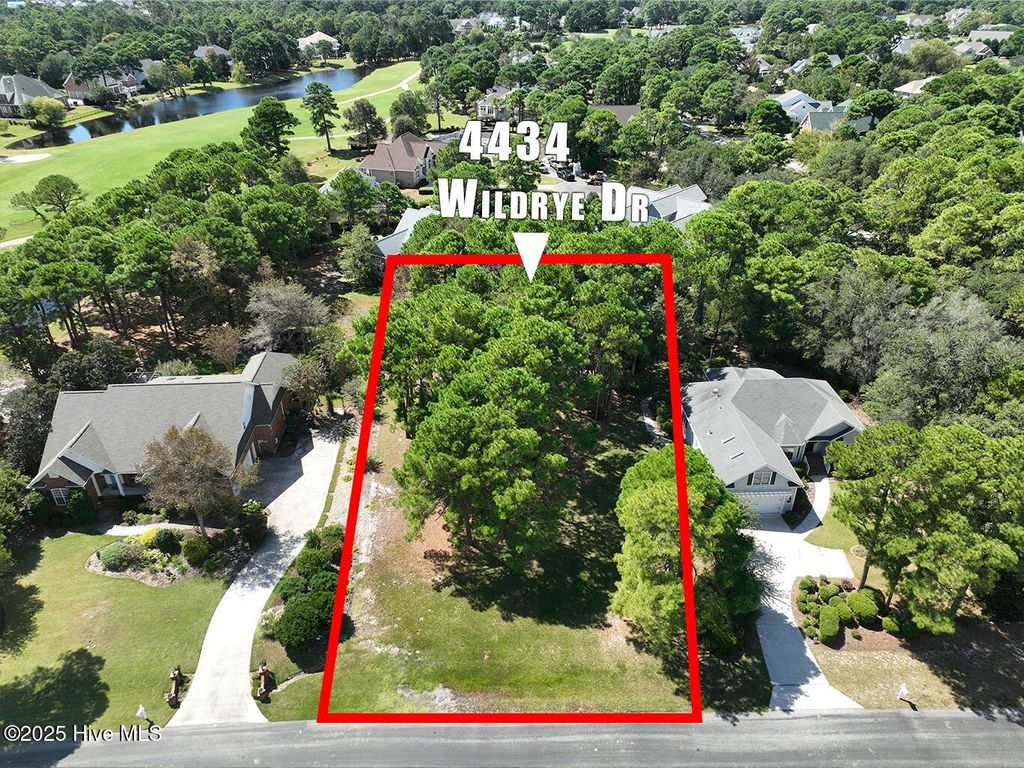 Photo of 4434 Wildrye Drive SE, Southport, NC 28461 (MLS # 100533181)