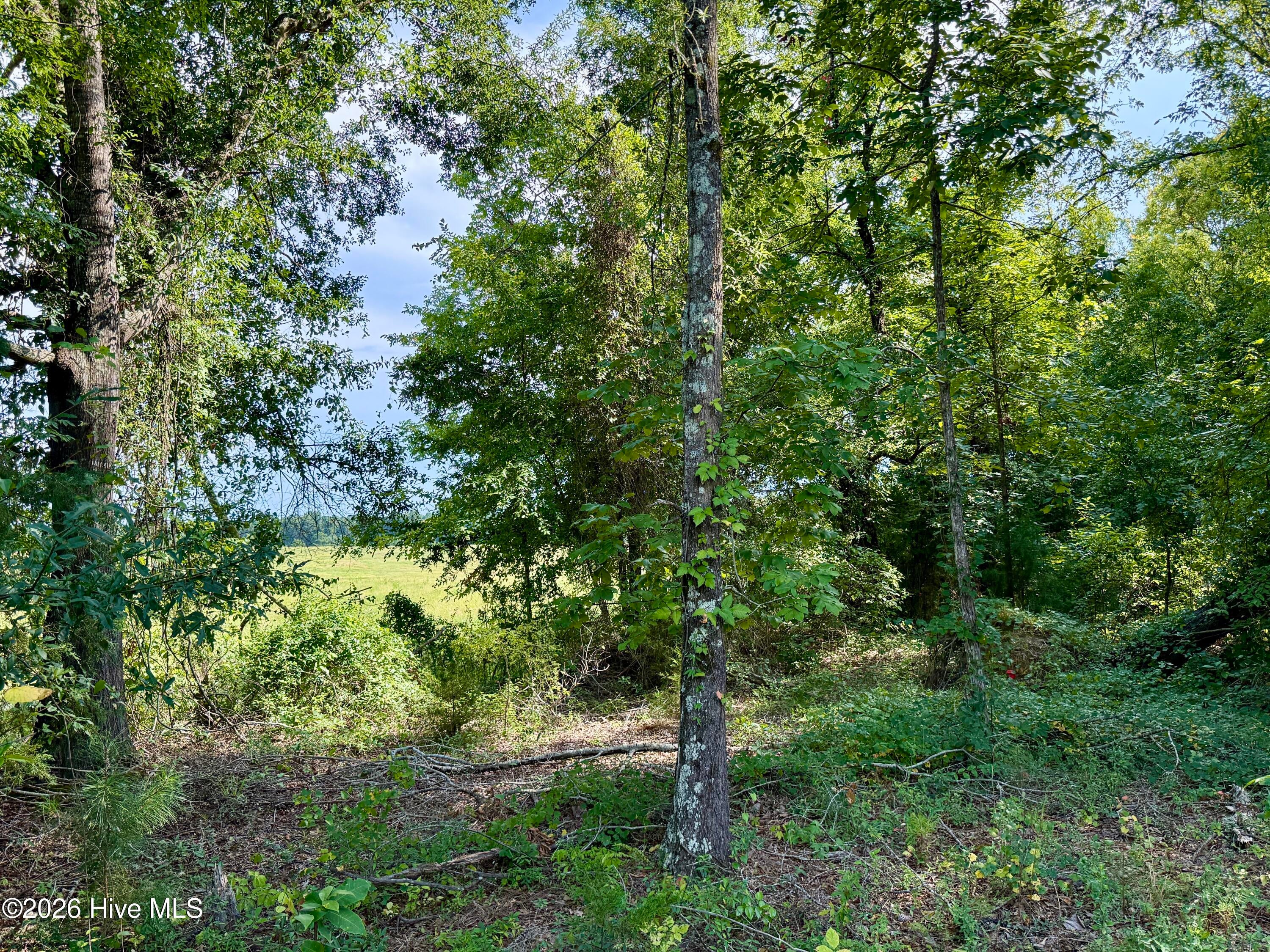 9153 Highway 28 South S