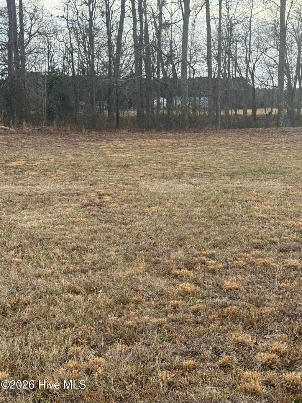 Photo of 120 Bridgewater Drive S, Bath, NC 27808 (MLS # 100555313)