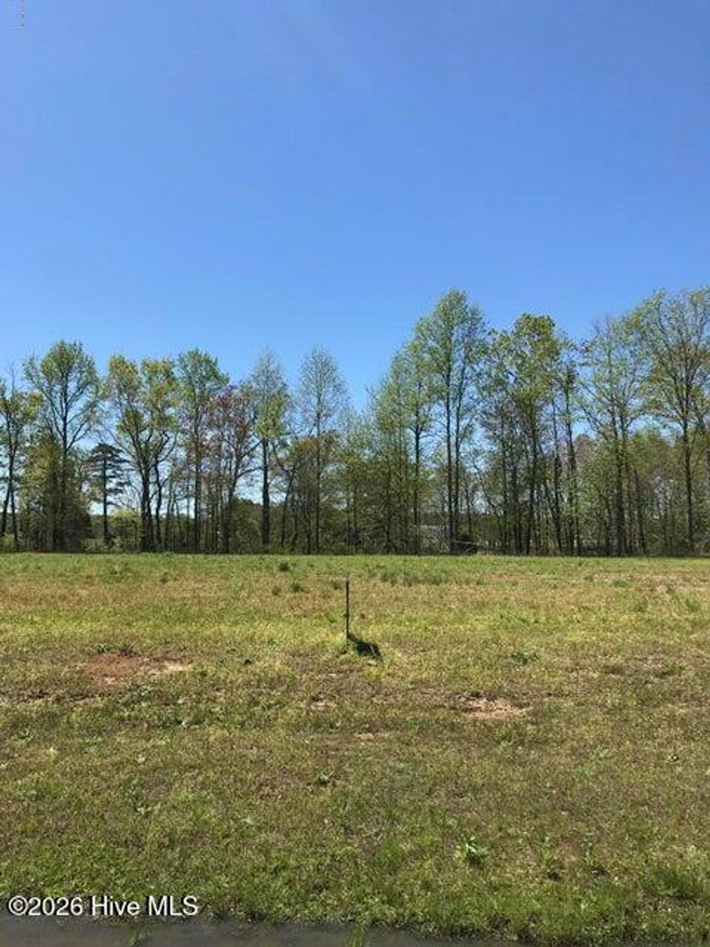 Photo of 120 Bridgewater Drive S, Bath, NC 27808 (MLS # 100555313)