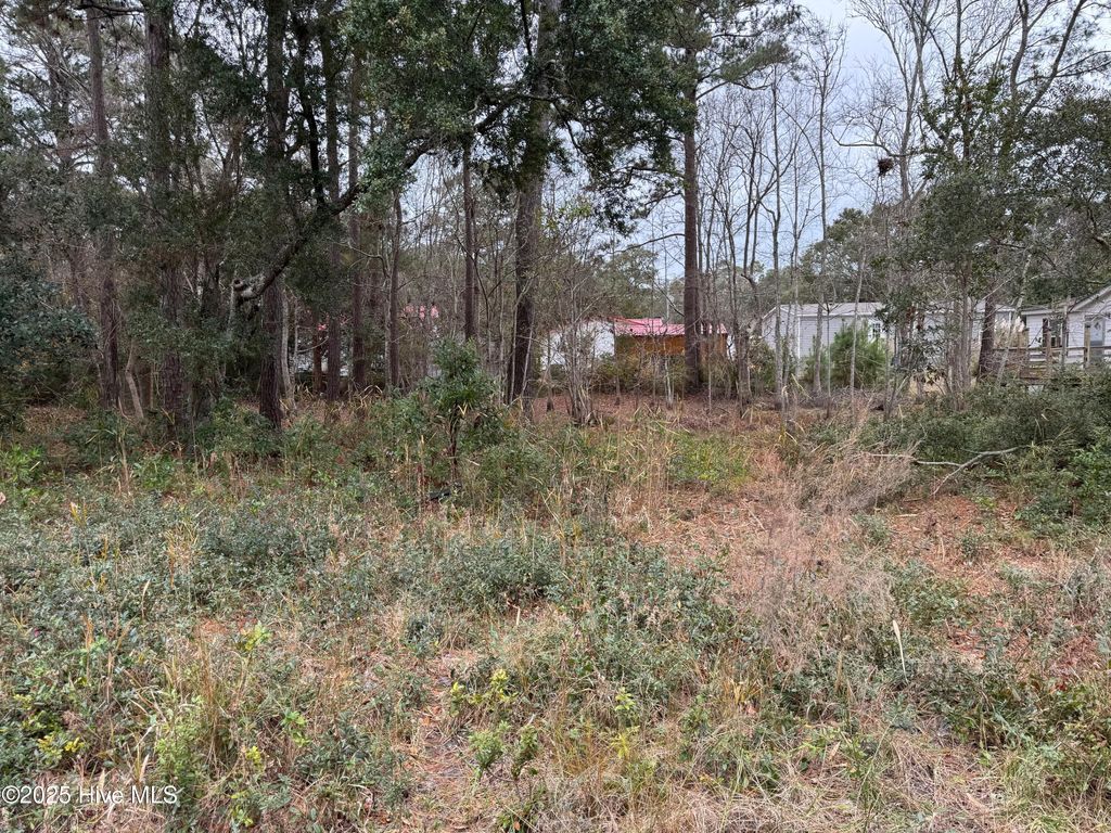 Photo of 659 Brookneal Street SE, Bolivia, NC 28422 (MLS # 100492121)