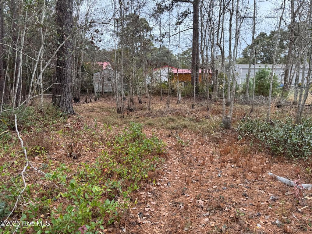 Photo of 659 Brookneal Street SE, Bolivia, NC 28422 (MLS # 100492121)