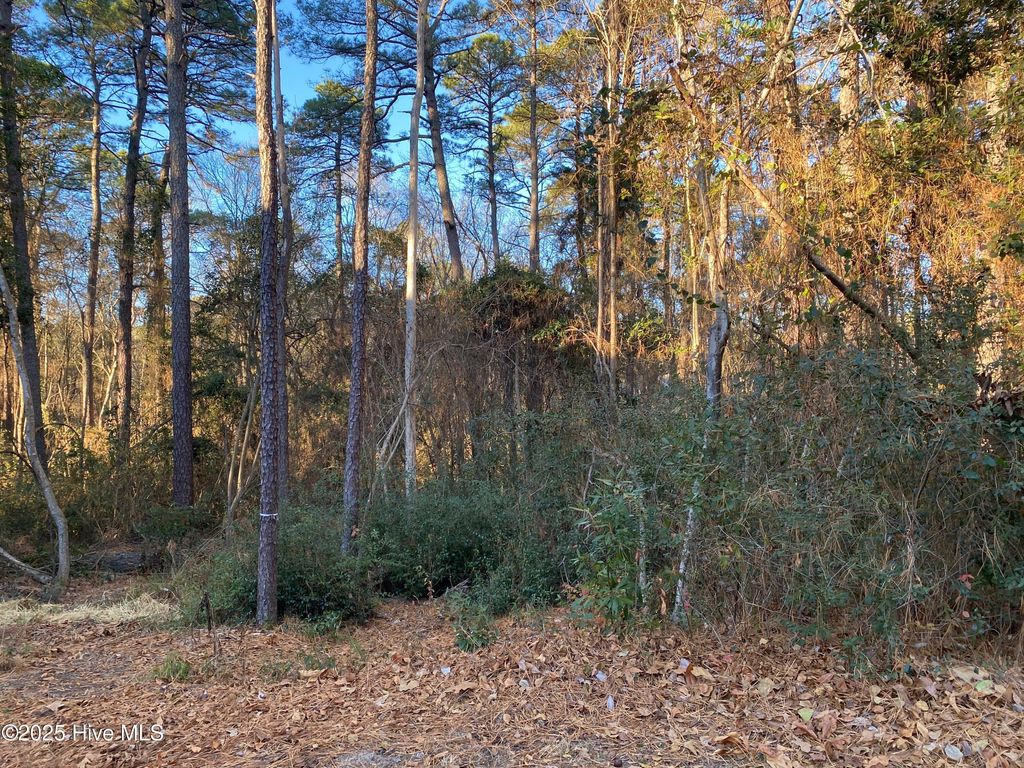 Photo of 4 Belmont Court, Pinehurst, NC 28374 (MLS # 100546098)