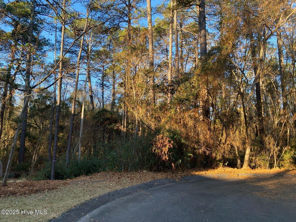 Photo of 4 Belmont Court, Pinehurst, NC 28374 (MLS # 100546098)