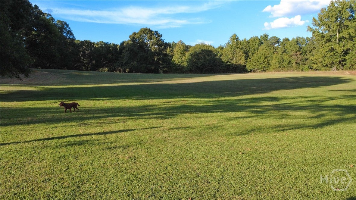 335 Robert Hardeman Road