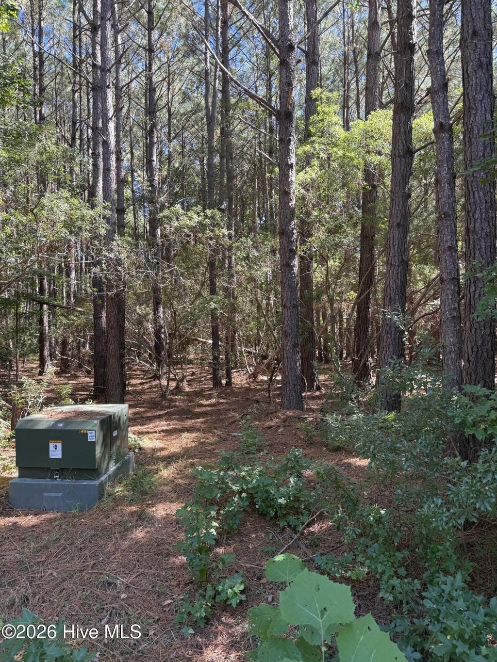 Photo of 9215 Hart Drive, Oriental, NC 28571 (MLS # 100612290)