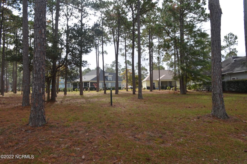 Photo of 305 Planters Ridge Drive SW, Sunset Beach, NC 28468 (MLS # 100509028)