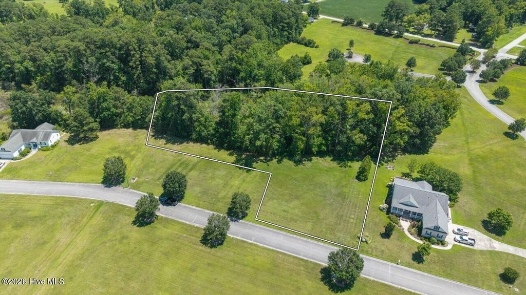 Photo of 46 Carolina Way, Arapahoe, NC 28510 (MLS # 100585844)