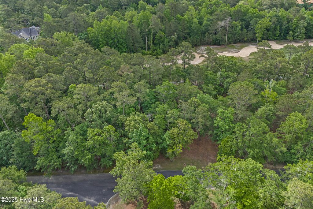 Photo of 3525 Fairway Crest Drive SW, Shallotte, NC 28470 (MLS # 100505913)