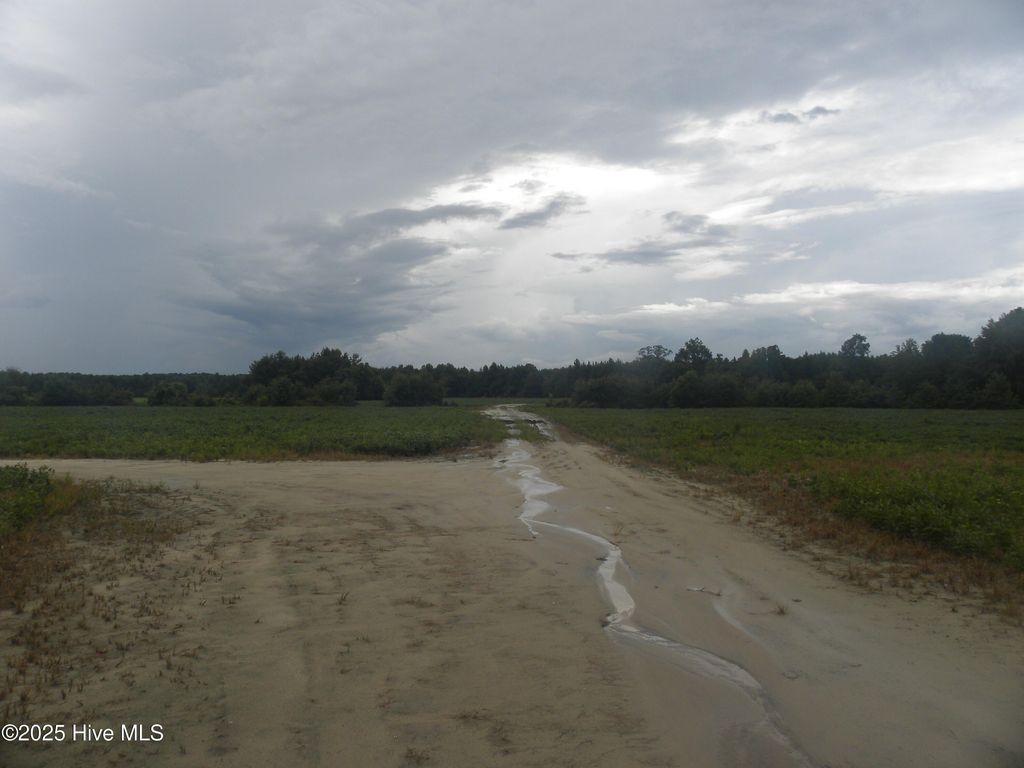 Photo of Tbd Conetoe Road, Greenville, NC 27834 (MLS # 100561640)