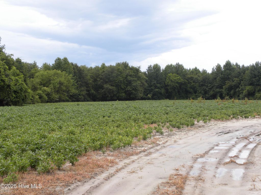 Photo of Tbd Conetoe Road, Greenville, NC 27834 (MLS # 100561640)