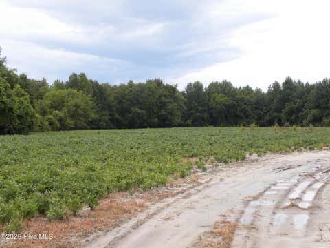 Vacant Land For Sale - TBD Conetoe Road<br/> Pitt County, Greenville, NC 27834