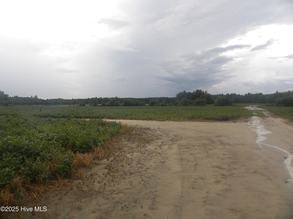 Photo of Tbd Conetoe Road, Greenville, NC 27834 (MLS # 100561640)