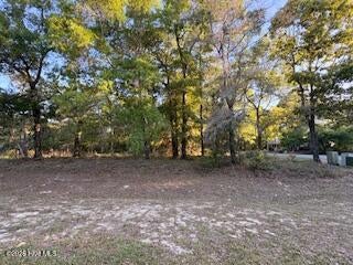 Tiny photo for 2000 Oyster Harbour Parkway SW, Supply, NC 28462 (MLS # 100605796)