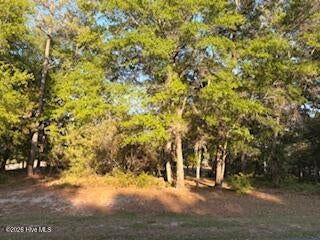 Tiny photo for 2000 Oyster Harbour Parkway SW, Supply, NC 28462 (MLS # 100605796)