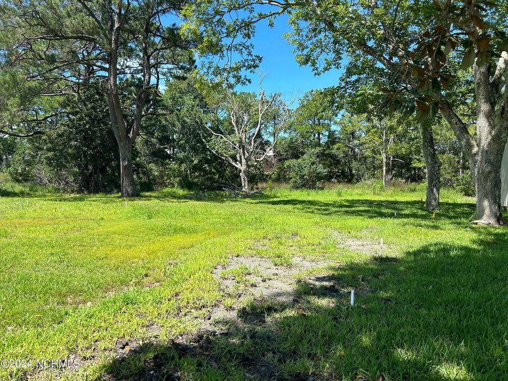 Photo of 104 Chestnut Drive, Beaufort, NC 28516 (MLS # 100542397)